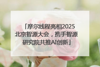 摩尔线程亮相2025北京智源大会，携手智源研究院共推AI创新