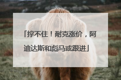 撑不住！耐克涨价，阿迪达斯和彪马或跟进
