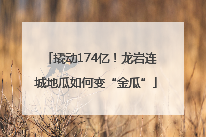撬动174亿！龙岩连城地瓜如何变“金瓜”