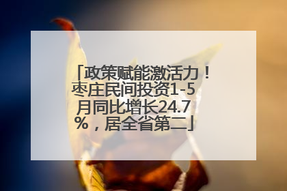 政策赋能激活力！枣庄民间投资1-5月同比增长24.7%，居全省第二