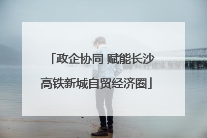 政企协同 赋能长沙高铁新城自贸经济圈