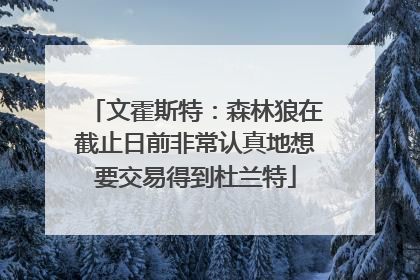 文霍斯特：森林狼在截止日前非常认真地想要交易得到杜兰特