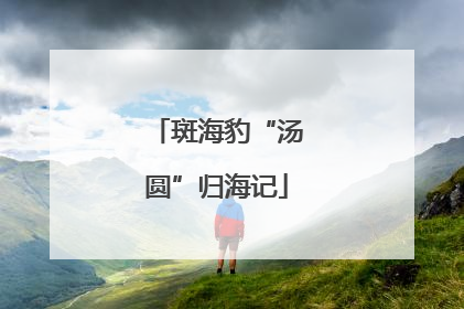 斑海豹“汤圆”归海记