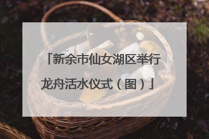 新余市仙女湖区举行龙舟活水仪式（图）