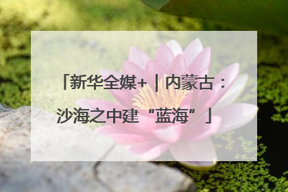 新华全媒+｜内蒙古：沙海之中建“蓝海”