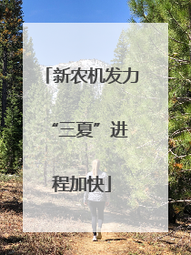 新农机发力 “三夏”进程加快