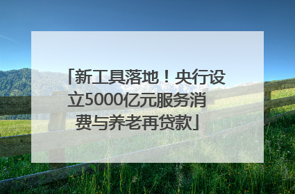 新工具落地！央行设立5000亿元服务消费与养老再贷款