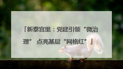 新泰宫里：党建引领“微治理” 点亮基层“网格红”