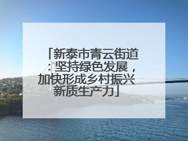 新泰市青云街道：坚持绿色发展，加快形成乡村振兴新质生产力