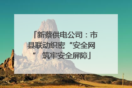 新蔡供电公司：市县联动织密“安全网” 筑牢安全屏障