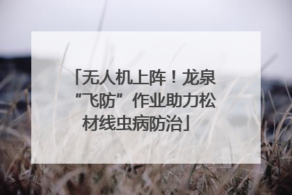 无人机上阵！龙泉“飞防”作业助力松材线虫病防治