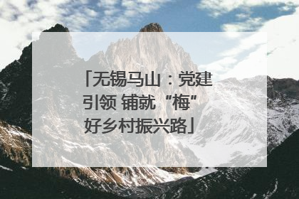 无锡马山：党建引领 铺就“梅”好乡村振兴路