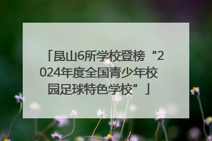 昆山6所学校登榜“2024年度全国青少年校园足球特色学校”