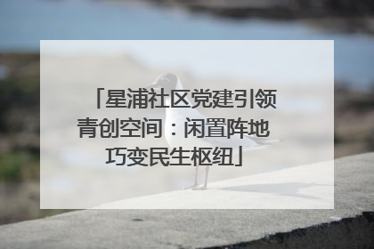 星浦社区党建引领青创空间：闲置阵地巧变民生枢纽