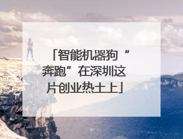 智能机器狗“奔跑”在深圳这片创业热土上