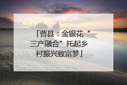 曹县：金银花“三产融合”托起乡村振兴致富梦