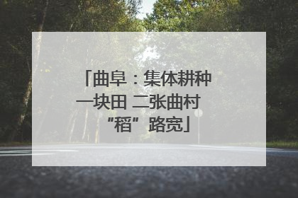 曲阜：集体耕种一块田 二张曲村“稻”路宽