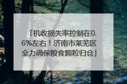 机收损失率控制在0.6%左右！济南市莱芜区全力确保粮食颗粒归仓