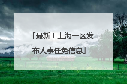 最新！上海一区发布人事任免信息