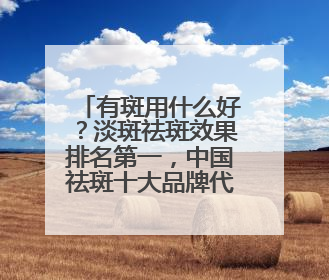 有斑用什么好？淡斑祛斑效果排名第一，中国祛斑十大品牌代表作！