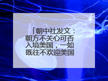 朝中社发文：朝方不关心可否入境美国，一如既往不欢迎美国人入境朝鲜