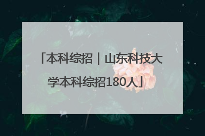 本科综招｜山东科技大学本科综招180人