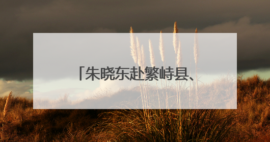 朱晓东赴繁峙县、定襄县调研河湖长制、林长制落实及防汛备汛等工作