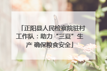正阳县人民检察院驻村工作队：助力“三夏”生产 确保粮食安全
