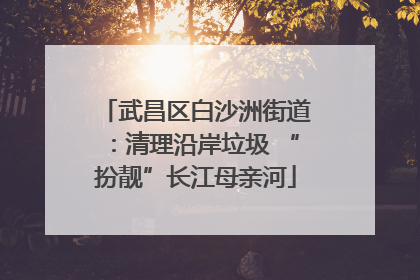 武昌区白沙洲街道：清理沿岸垃圾 “扮靓”长江母亲河