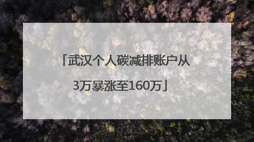 武汉个人碳减排账户从3万暴涨至160万