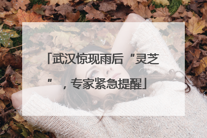 武汉惊现雨后“灵芝”，专家紧急提醒