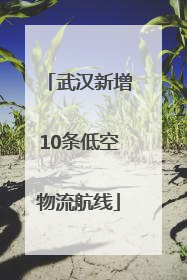 武汉新增10条低空物流航线