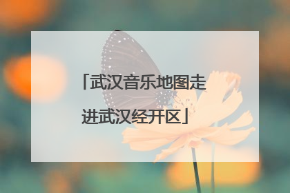 武汉音乐地图走进武汉经开区