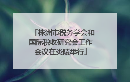 株洲市税务学会和国际税收研究会工作会议在炎陵举行