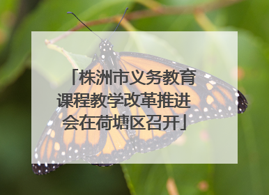 株洲市义务教育课程教学改革推进会在荷塘区召开