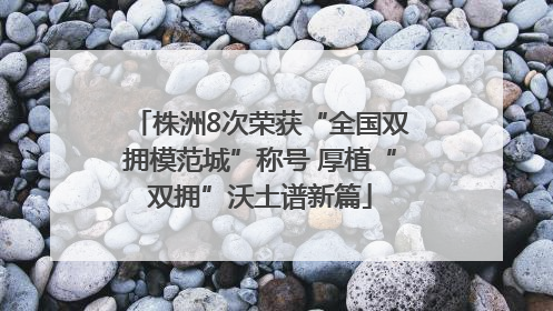 株洲8次荣获“全国双拥模范城”称号 厚植“双拥”沃土谱新篇