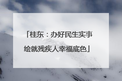 桂东：办好民生实事 绘就残疾人幸福底色