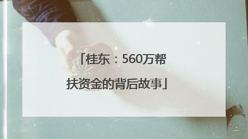 桂东：560万帮扶资金的背后故事