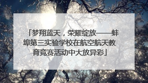 梦翔蓝天，荣耀绽放——蚌埠第三实验学校在航空航天教育竞赛活动中大放异彩