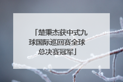 楚秉杰获中式九球国际巡回赛全球总决赛冠军