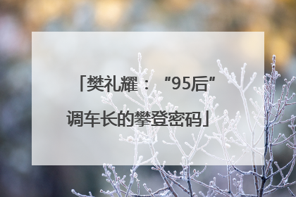 樊礼耀：“95后”调车长的攀登密码