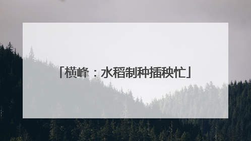 横峰：水稻制种插秧忙