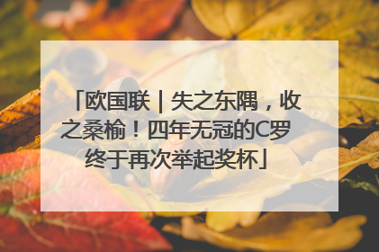 欧国联｜失之东隅，收之桑榆！四年无冠的C罗终于再次举起奖杯