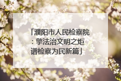 濮阳市人民检察院：擎法治文明之炬 谱检察为民新篇