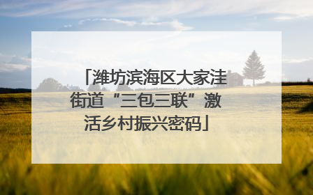 潍坊滨海区大家洼街道“三包三联”激活乡村振兴密码