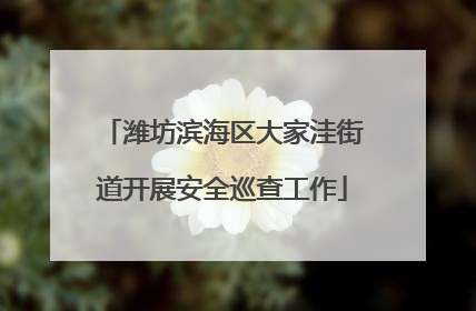 潍坊滨海区大家洼街道开展安全巡查工作