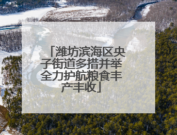 潍坊滨海区央子街道多措并举全力护航粮食丰产丰收