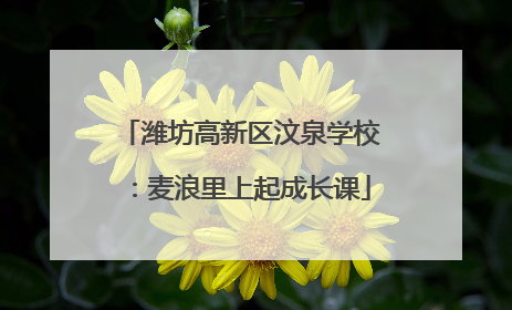潍坊高新区汶泉学校：麦浪里上起成长课