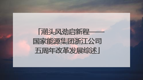 潮头风劲启新程——国家能源集团浙江公司五周年改革发展综述