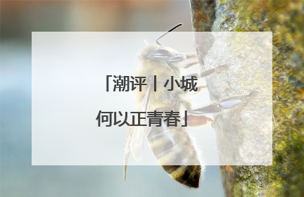 潮评丨小城何以正青春